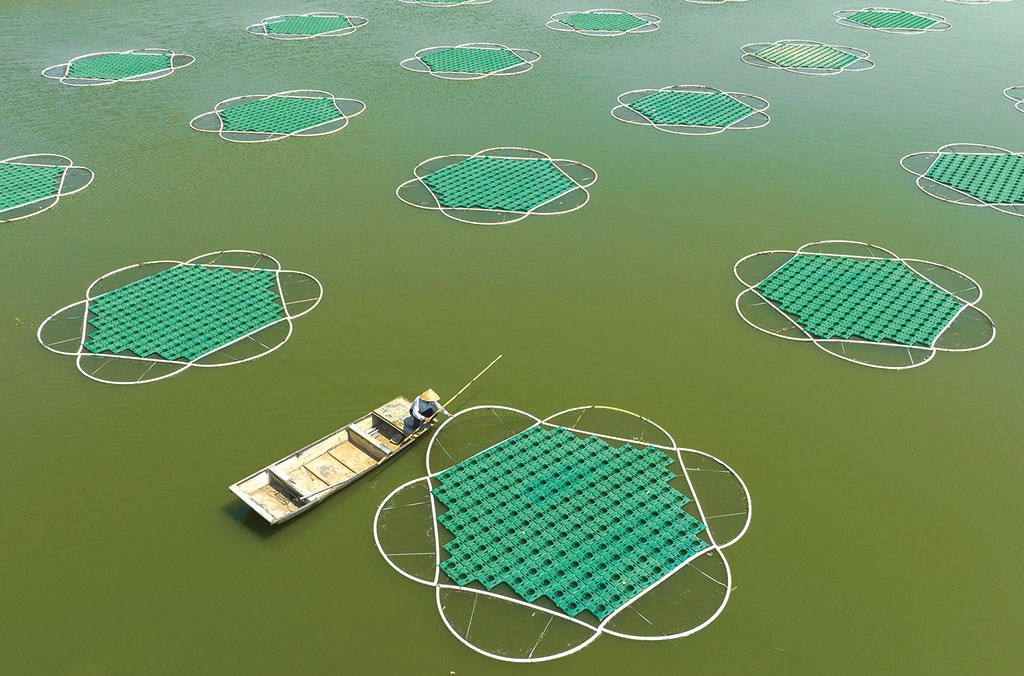 安徽省來安縣家得樂百貨超市銷售不合格食品被罰款9964元